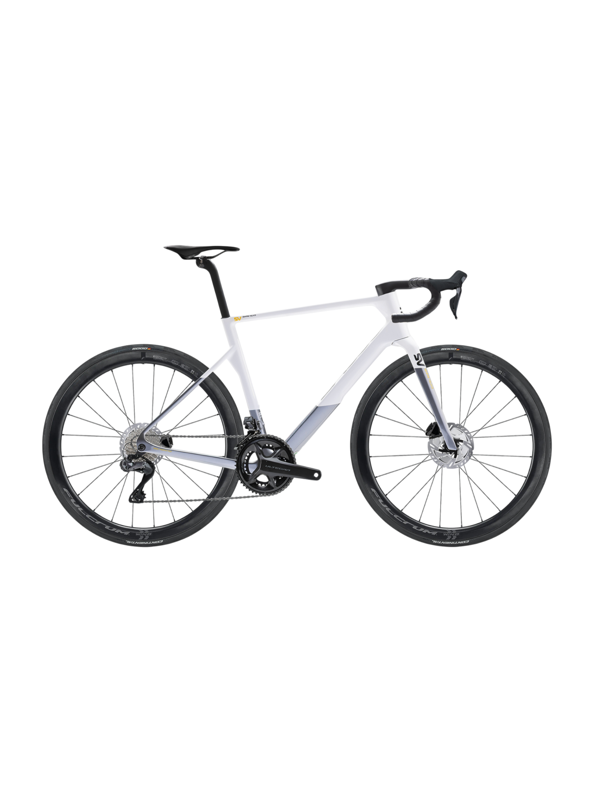 Basso SV